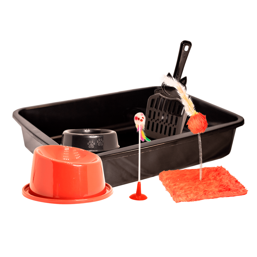 Kit Pequena Majestade