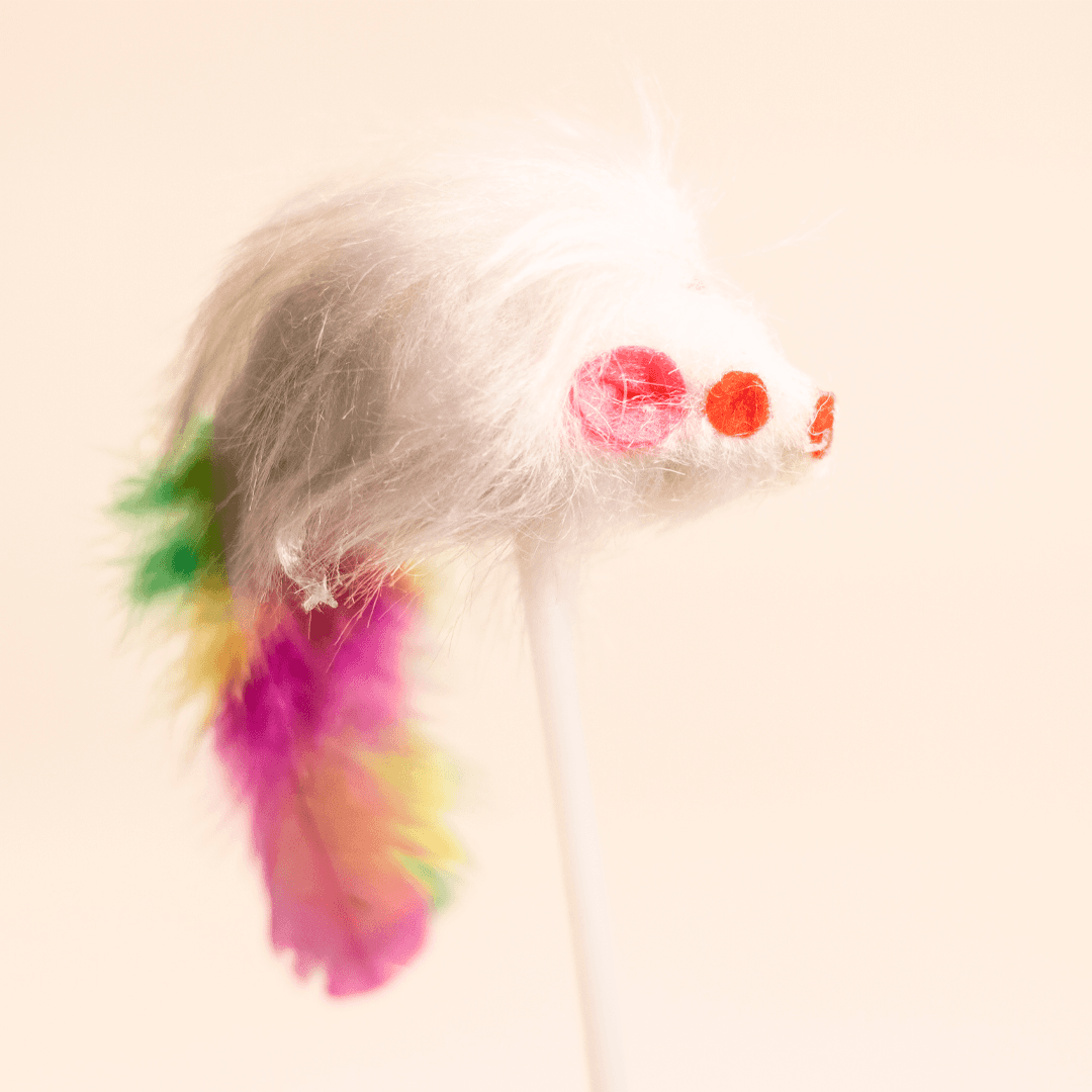 Varinha Ratinha Pena com Ventosa