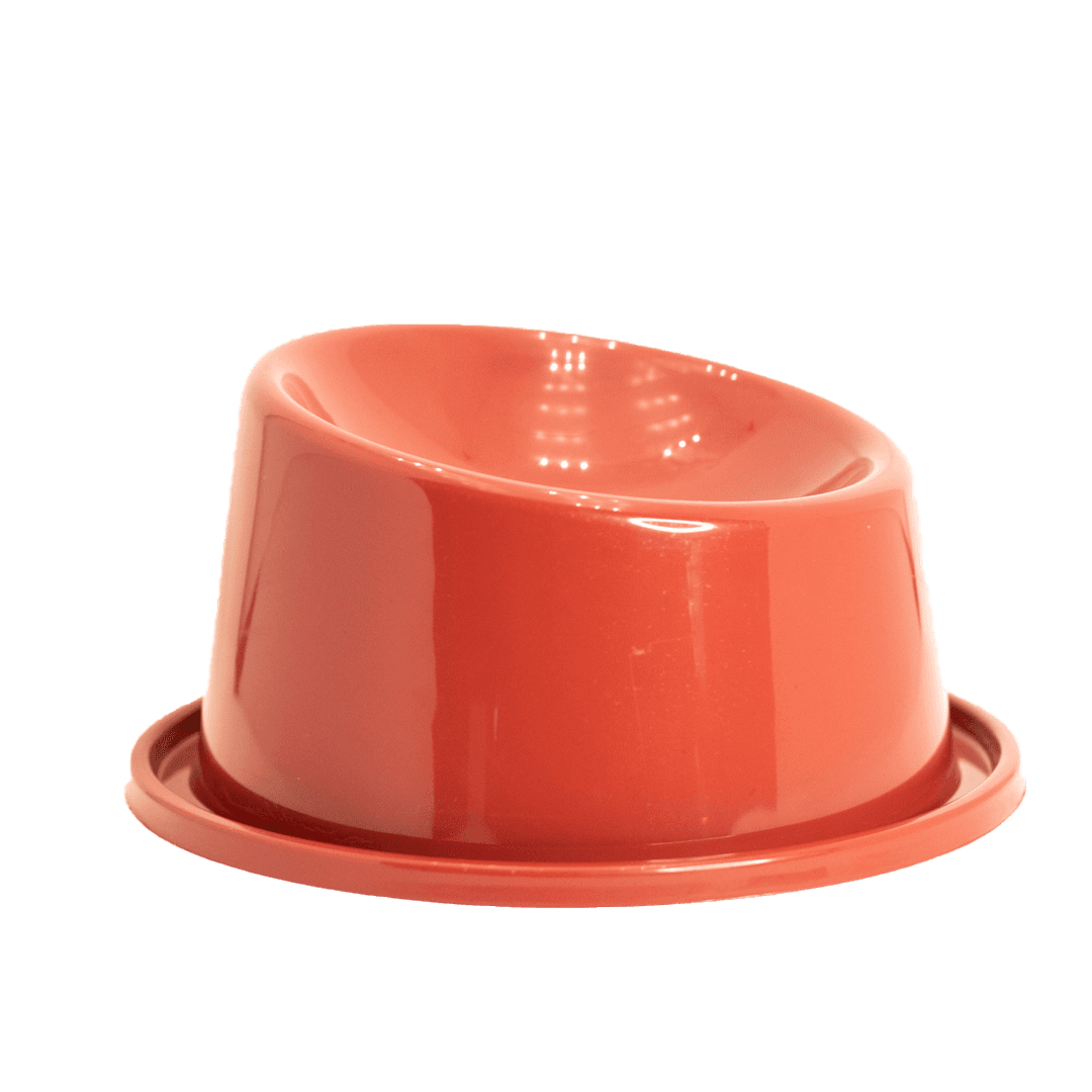 Comedouro Ergonômico Anti-Formiga Filhote 